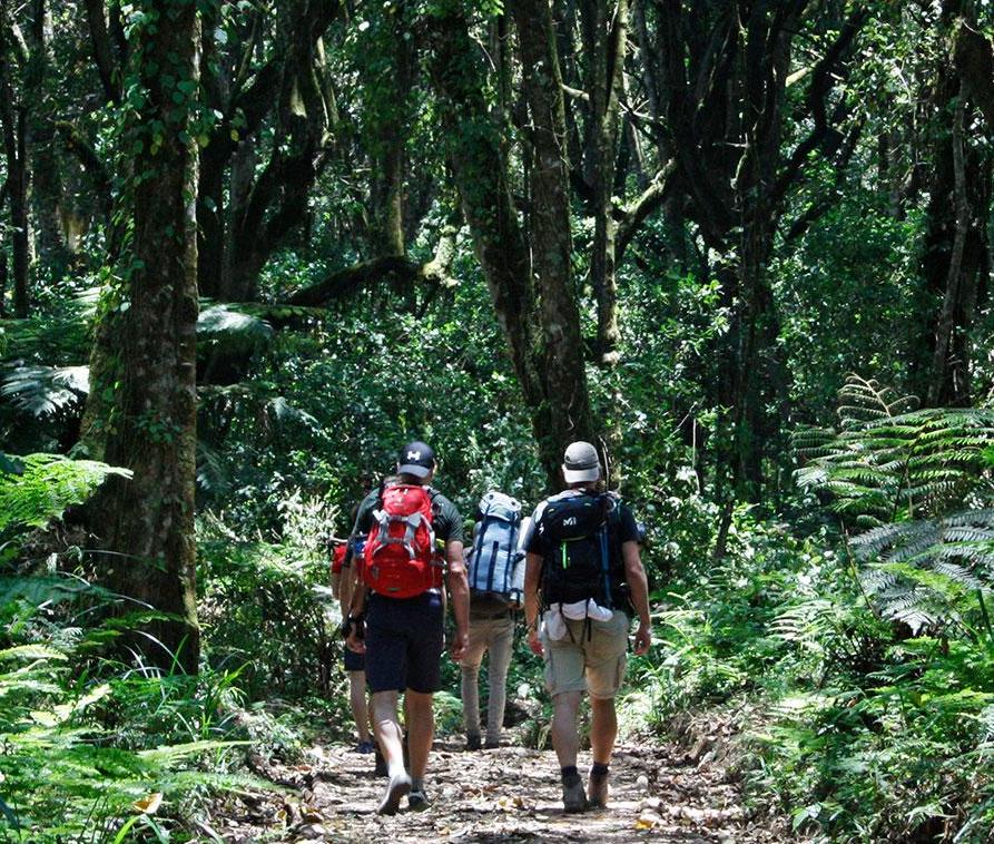 Kilimanjaro National Park
