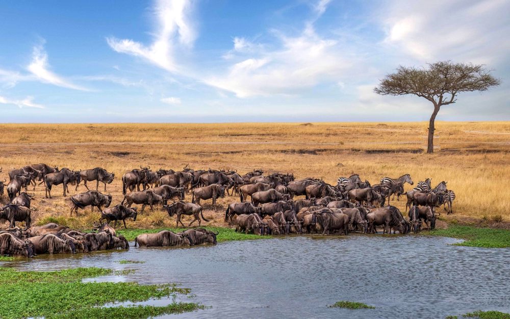 Serengeti National Park