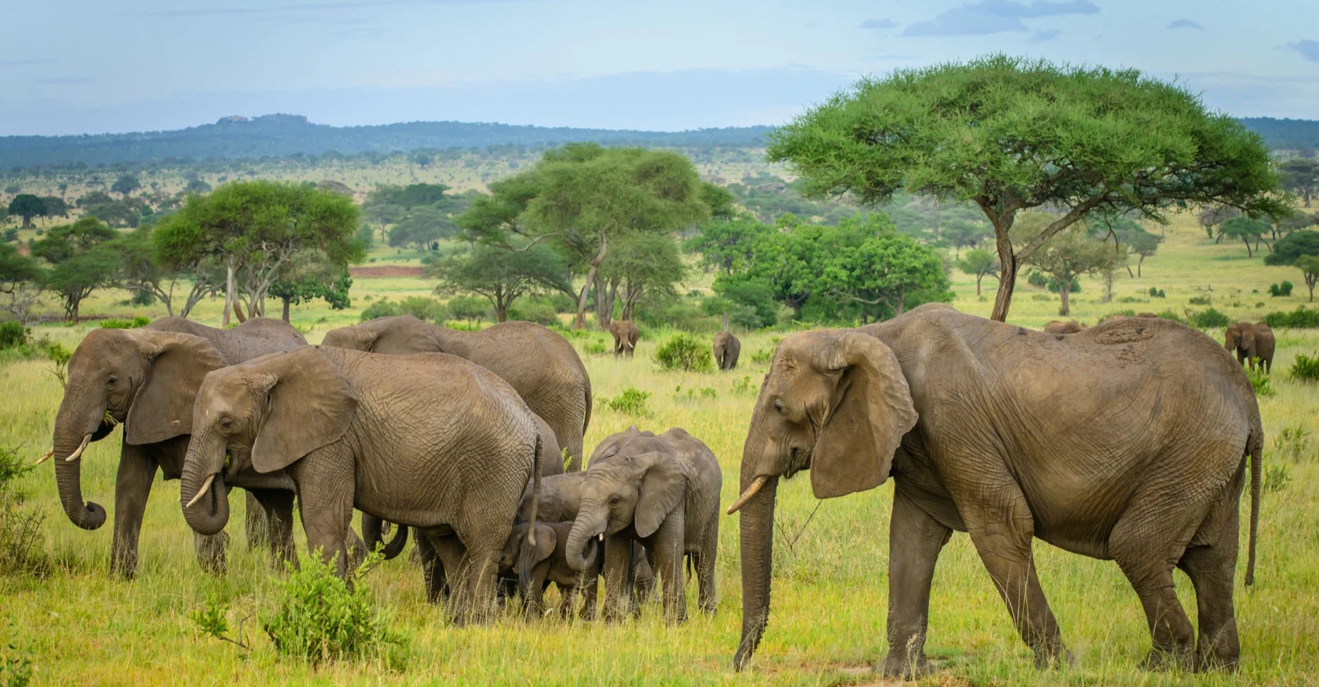 Tarangire National Park