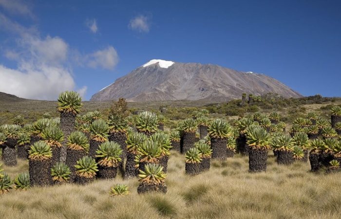 tanzania-mount-kilimanjaro